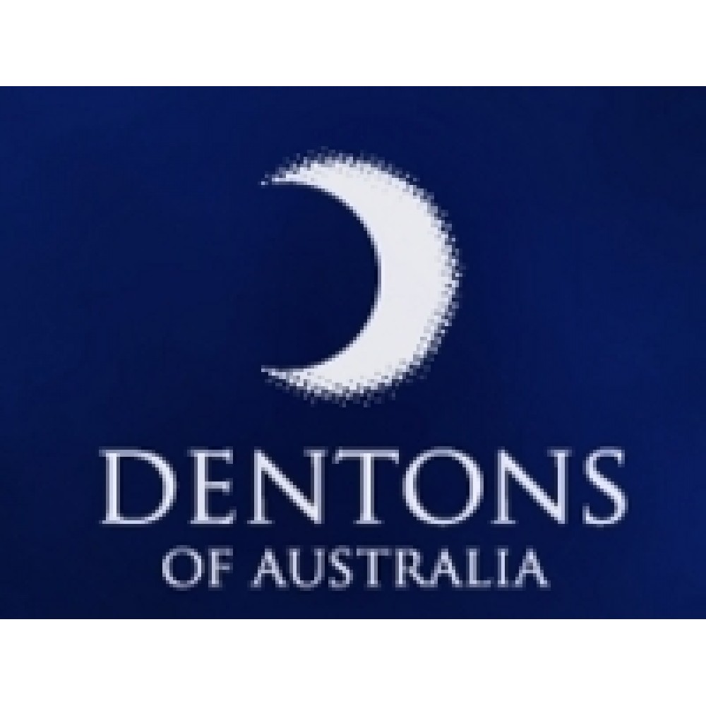 Dentons Plume Junior Pillow for children Low Allergy Pillow Pillow from Australia Fu Kang Healthcare Shop Online